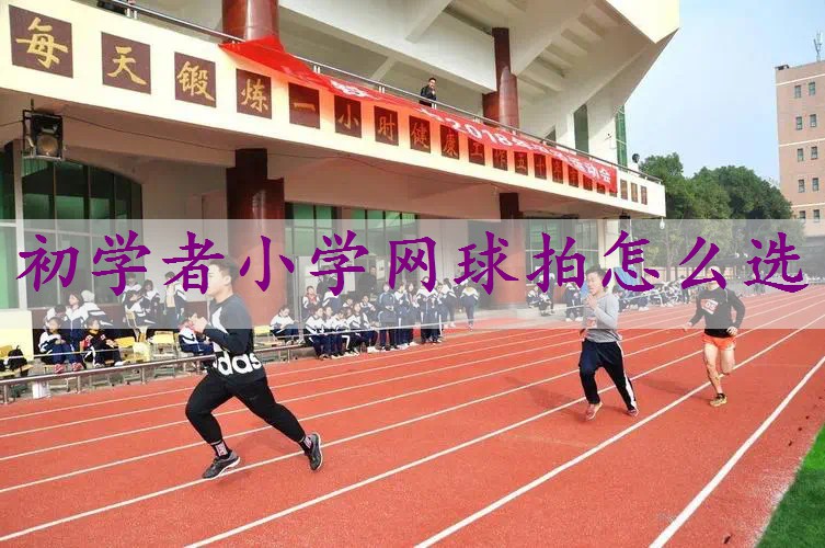 初学者小学网球拍怎么选