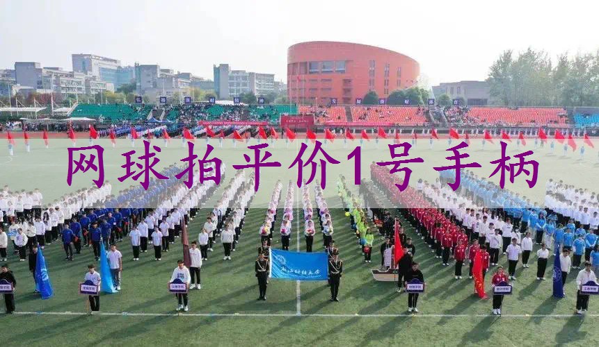 网球拍平价1号手柄